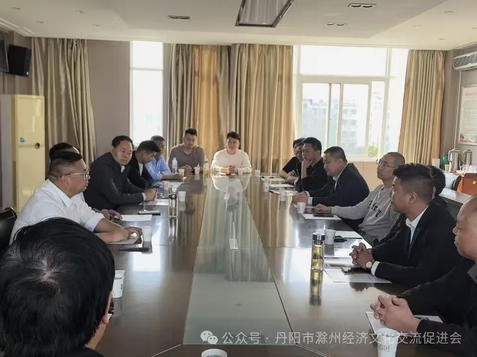 丹阳滁州经济文化促进会天长行携手共促双招双引新发展